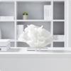 Coral Ornament with Crystal Base White Resin Sculpture Modern for Entryway