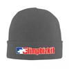 Limp Bizkit Logo Knitted Hat Beanie Autumn Winter Hat Warm Casual Band Cap for Men Women
