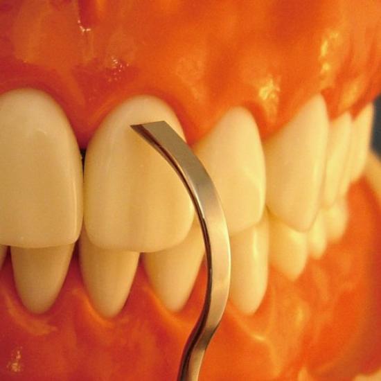 Tartar Maker Scaler Flat