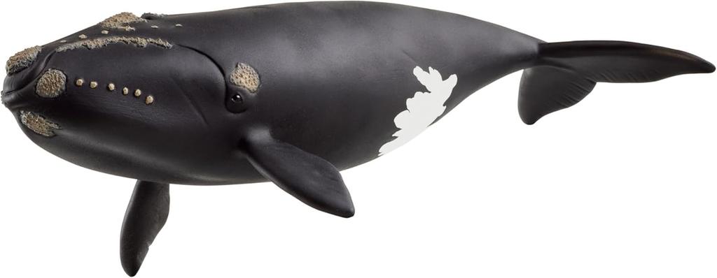Schleich Wildlife North Atlantic Right Whale 14878