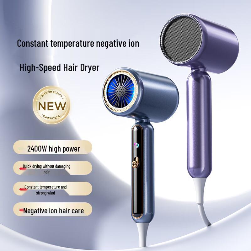 OIMG 2400W Professional Hair Dryer