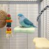 Wear Resistant Pumice Parrot Stand Detachable Claw Grinding Stand Parrot Rack Toy  Training
