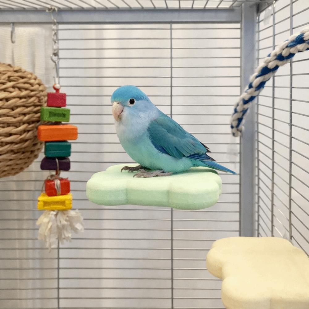 Wear Resistant Pumice Parrot Stand Detachable Claw Grinding Stand Parrot Rack Toy  Training