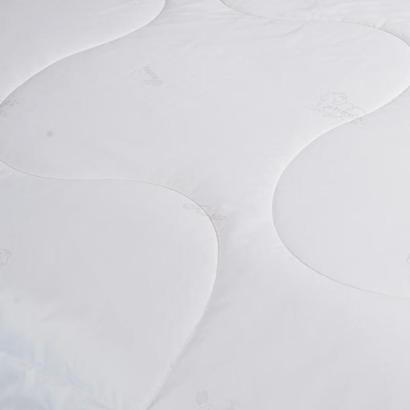 Fuanna Royal Dream Premium All-Season Silk & Polyester Quilt