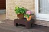 Liberty Corporation Style+ Step Stool, Brown, 14cm Tall, Made in Japan, LD-138