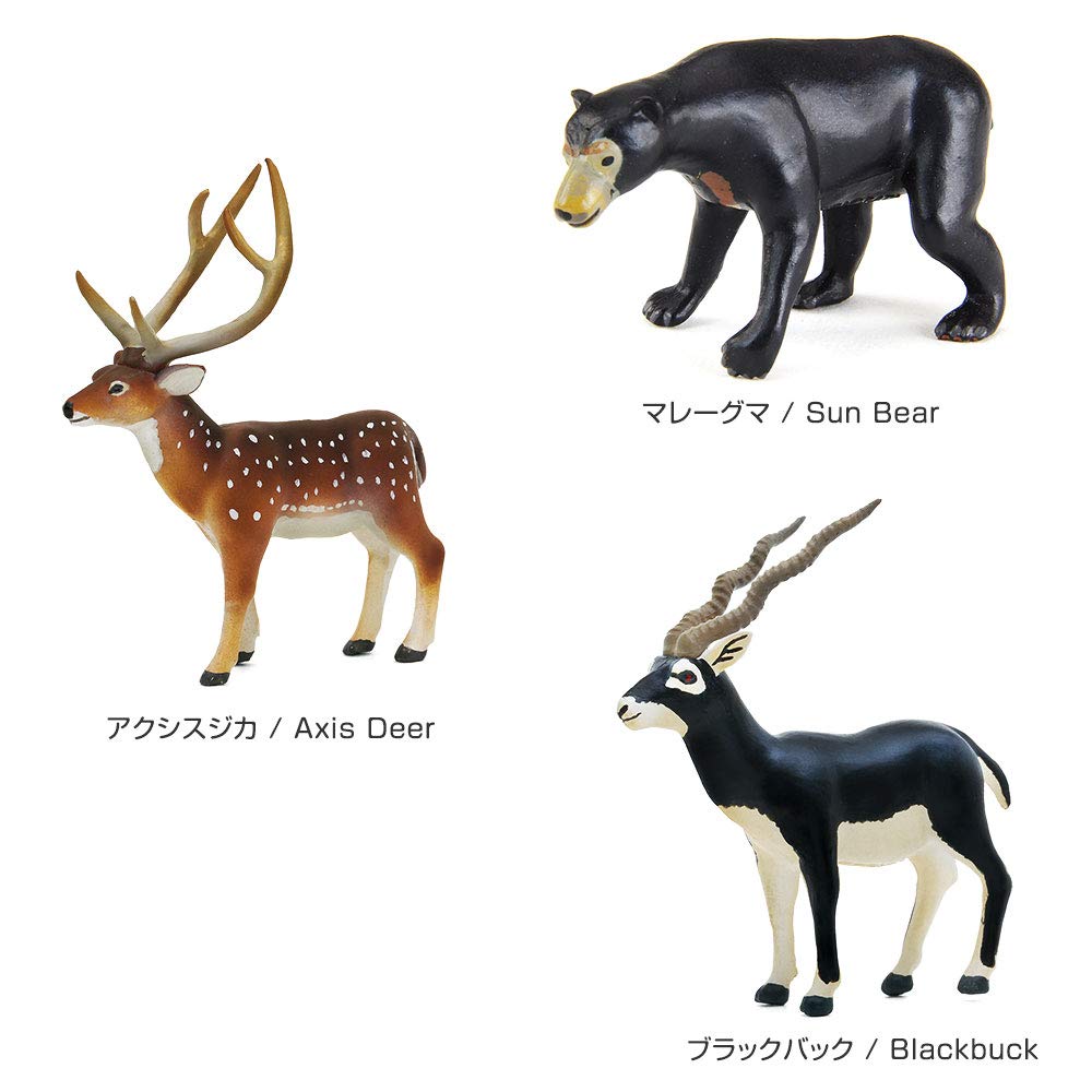 Colorata 3D Animal Encyclopedia Zoogeography Box Oriental Region Real Figure Set 12 Animals with Guide Book