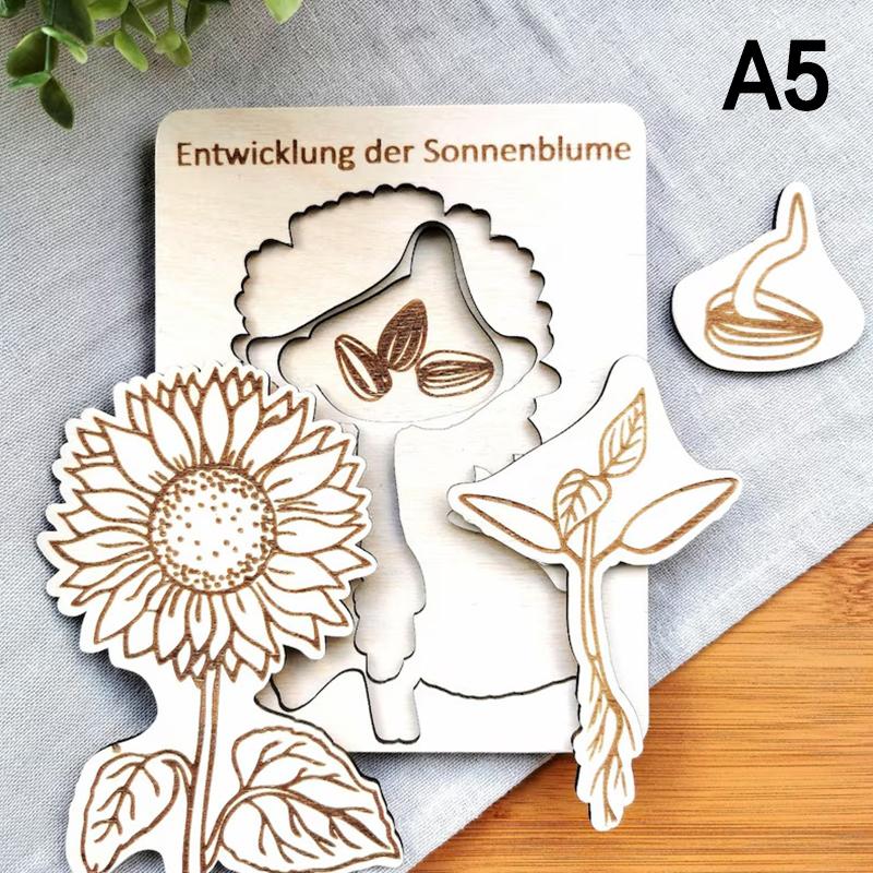 

Wooden Life Cycle Puzzle Layered Animal Insect Plant Growth Jigsaw Puzzle Preschool Educational Puzzles Toy For Boys And Girls