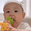 [BABY & I] Silicone Fruit Teether Set (with Storage Case) – 7 Designs