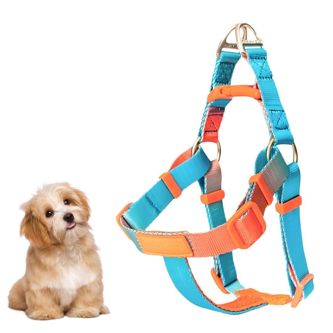 

Dog Harness for Small Easy to Put On and Take Safe for Size S Circumference Dogs, Adjustable, Off, Lightweight, Comfortable, Durable, Anti-Pulling, синий
