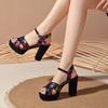 Fashion 2025 Women's Shoes Buckle Strap Women's Sandals Fashion Printing Dress Sandals Women Summer Plus Size Peep Toe Heeled Sandals