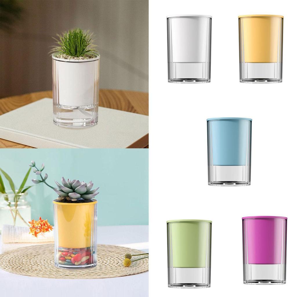 Self Watering Pot Desktop Ornament Tabletop Centerpiece Modern Hydroponic Planting Pot for Office Home Yard Living Room Garden