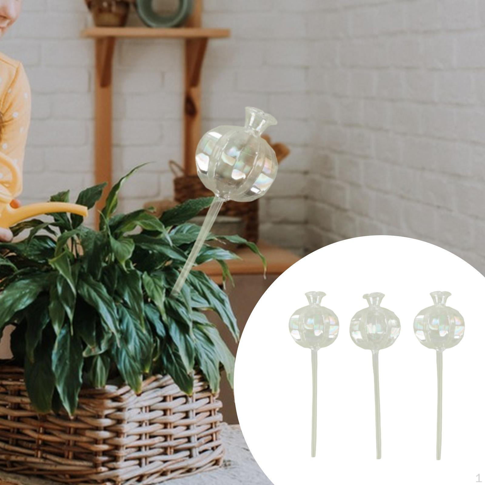 

3 шт. шары для полива растений вставные колышки для посадки устройства для полива луковицы для Transparent