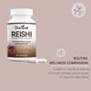 DOCTEAT Reishi Mushroom Capsules – Supports Immunity & Daily Nutrition