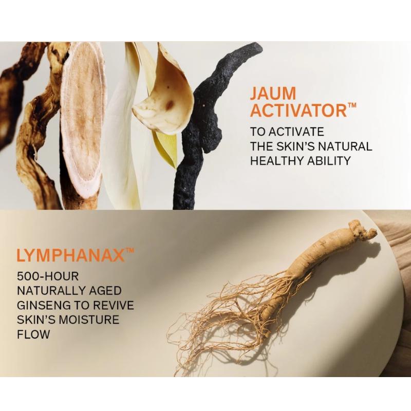 [Sulwhasoo] First Care Activating Serum 120ml <Largest Size>