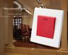 86 Type High Power Wall Switch: Double Pole Double Throw with Indicator Light, 45A