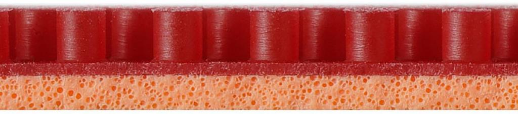 Nittaku Table Tennis Grain High Soft Rubber Donnuckle Grain Variation Type Red Ultra Thin NR8595 High-1 (20)