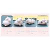 Cute Piggy Girl Figurine Kawaii Cartoon Resin Statue Car Decor Mini Ornament Home Desk Decoration Adorable Animal Doll Gift