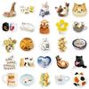 50 Cute Cat and Animal Stickers for Journals, Water Bottles, Laptops