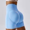Women's Seamless Yoga Hip Lifting Tight High Waisted Sports Shorts