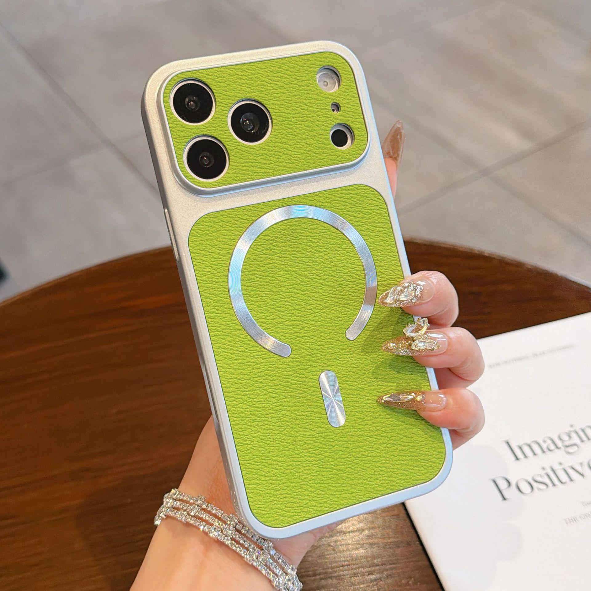 

iPhone 14/15/16/17 Pro Max Magnetic Leather Texture Drop-Proof Protective Case iPhone 11