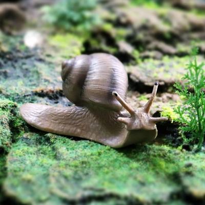 Jemná pevná skládačka Vědecká mikro krajina Dětská kognitivní simulace Hmyz Šnek Soška Zahrada Dekorace Šnek Model