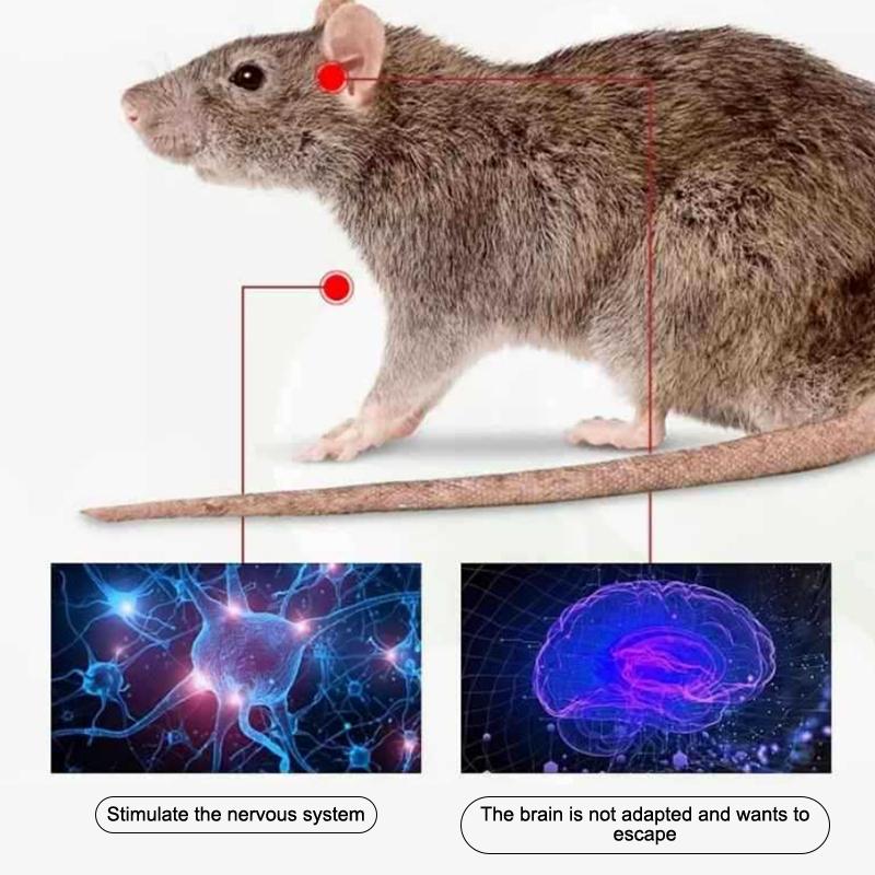 10/20/50Pcs Mothballs And Deodorizing Pills Are Great For Rat Control And Pest Extermination In Homes And Indoors