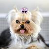 25Pcs Pet Multicolor Hair Bowknot Bows Grooming Accessories for Cat Medium Small Dog