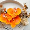 Orange Phalaenopsis Orchid Hair Dried for and Perfect for and Hani. Ornament, Flower, Kimono, Coming-of-Age Ceremonies, Graduations, Weddings, Bridal,