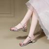 2025 Summer New Thick Heel Women's Shoes Fashion Versatile Niche Temperament Explosion High Heel French Fairy