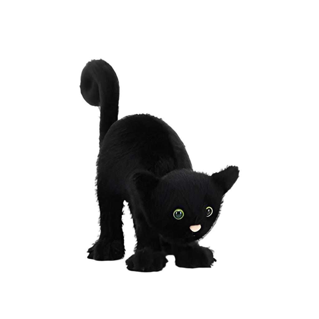 Plush Toys, Cute And Perfect Birthday Gifts For Friends And Classmates, Graduation Gifts