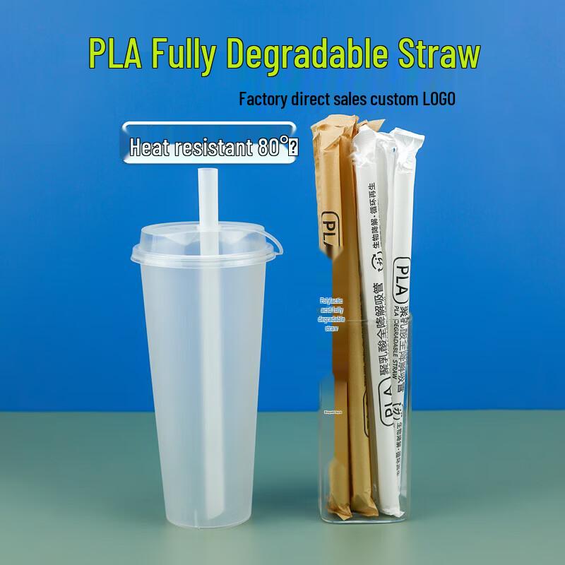 Homeglen Disposable Drinking Straws