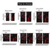 2pcs   2D Flat Printing Party Curtain Abstract Cubes Red Black Art Protecting Privacy Family Party Use for Indoor Use Bedroom
