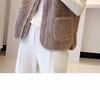 Women's 2024 Autumn/Winter Lambswool Plush Vest - Korean Style Versatile Outerwear Gilet.
