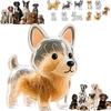 Transparent Dog Hair Collection Pendant Bichon Husky Corgi Portable Dog Hair Storage Capsule Gifts Dog Hair Storage Box