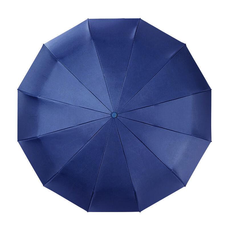 Tri-polar 24-Rib Automatic All-Weather Umbrella