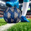 Brighton & Hove Albion FootballPrinted Size 5 Soccer Blbion Football, Anti Slip Adult Match Football Souvenir for Football Fans