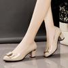 2025 Autumn New Women's Shoes High Fashion Wide Heel Thick Heel Versatile High Heels Shallow Mouth Casual Women's Shoes