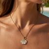 Minimalist Shell Stainless Steel Clavicle Necklace for Women Dainty Seashell Cubic Zirconia Pendant Chain Party Jewelry Gift