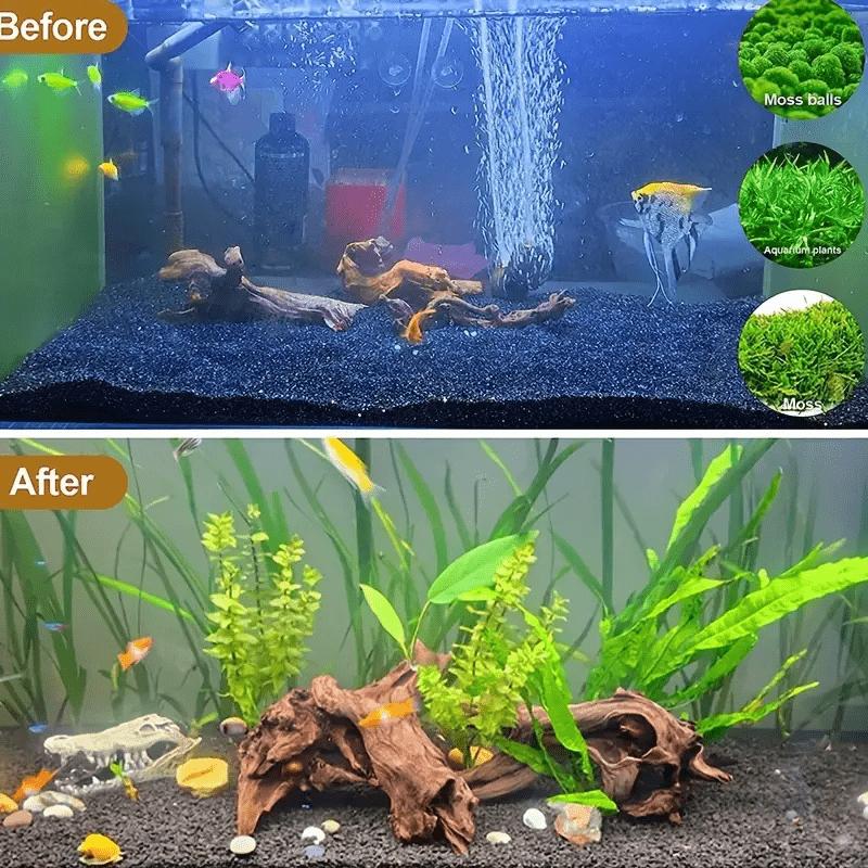 Legno di deriva naturale per decorazione di acquari e vasche per pesci