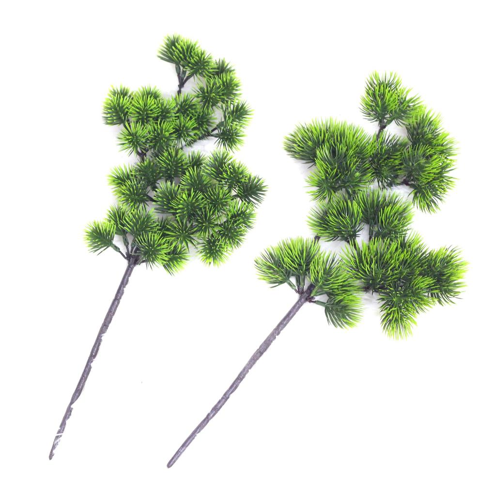 Simulation Of A Single Beauty Pine Branch Fruit Cypress Branch Pine Needle Tree Branch Wukesong Project Matching Plant List