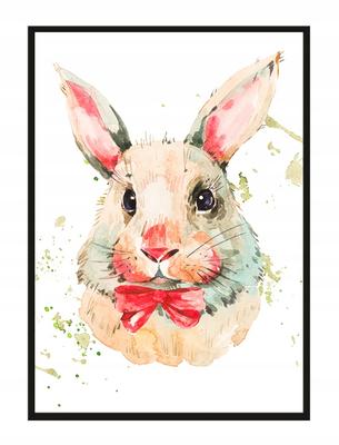 Picture Poster In a Frame A4 Cm Rabbit PD223