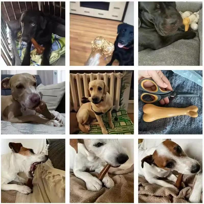 Nearly Indestructible Dog Bone Chew Toys Natural Non Toxic Puppy Chew Toy For Small Medium Large Dogs Long Lasting