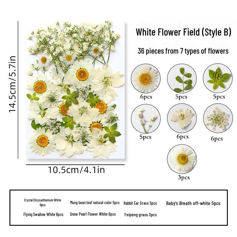 DIY Dried Flower Specimen Sticker Set for Kids: Handmade Pressed Flower Frames & Resin Bookmark Craft Kit