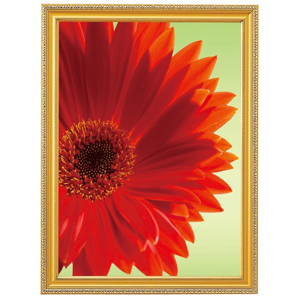 KOKUYO Picture Frame Gold Keshi Award Certificate A3 Ka-32N