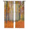 Schöne Herbstwaldlandschaft, durchsichtige Vorhänge, Schlafzimmer, Voile-Vorhang, Wohnzimmer, Fenster, durchsichtige Vorhänge, Küche, Tüllvorhänge