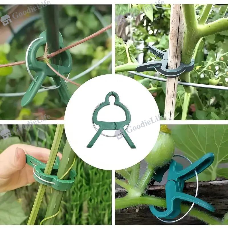 30 Stück Grüne Pflanzenklammern für Tomaten, Blumen – Gartenstützklemmen Kunststoff