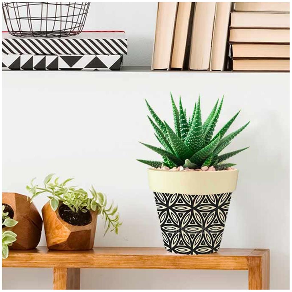 Les Trésors De Lily [Q6580] - Cache-pot bambou 'Boho' noir beige -  13. 5x15 cm