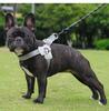 Adjustable Vest Dog Harness and Leash Set for Small to Medium Breeds - Corgi, Shiba Inu, French Bulldog