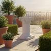 Outdoor Column Elegant Roman Style Resin Pedestal Plant Stand Weather Proof for