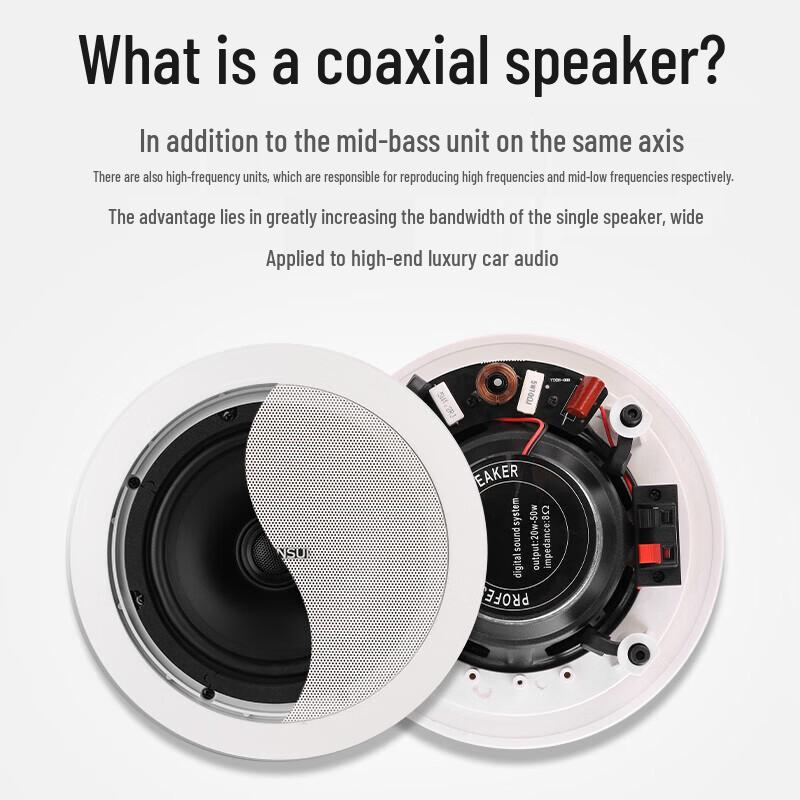 SANSUI T2 5.1 Channel Home Theater Ceiling Speaker System CN Plug (adapter Included)